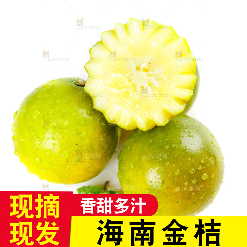 白底上放着金橘