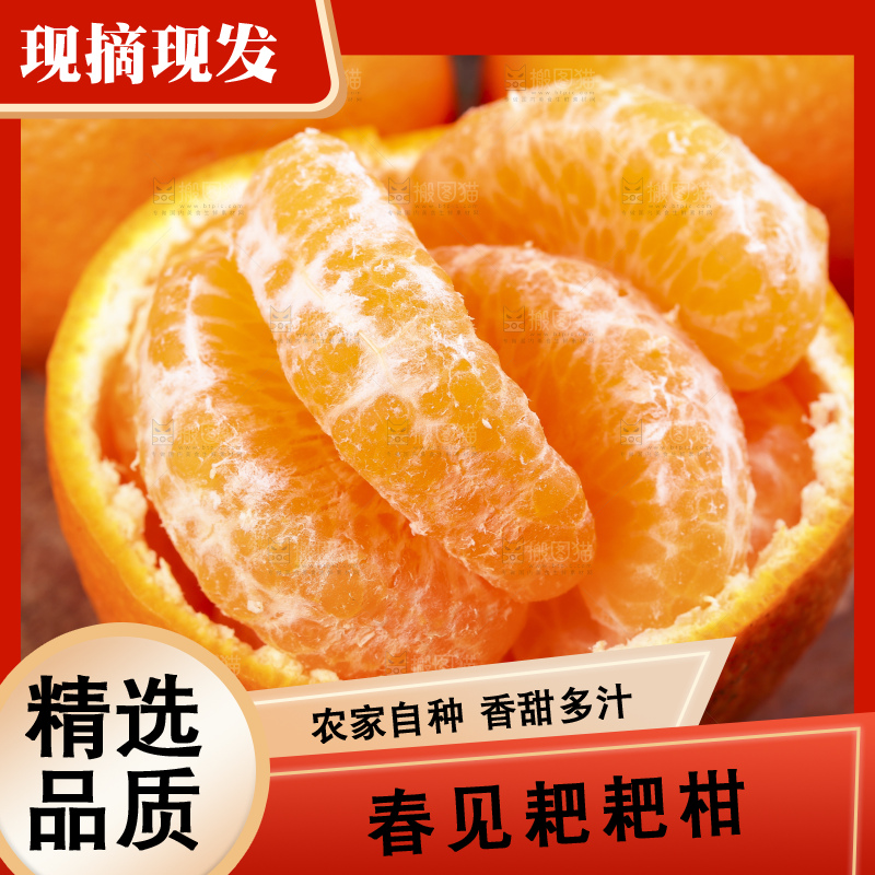 木板上放着春见柑橘