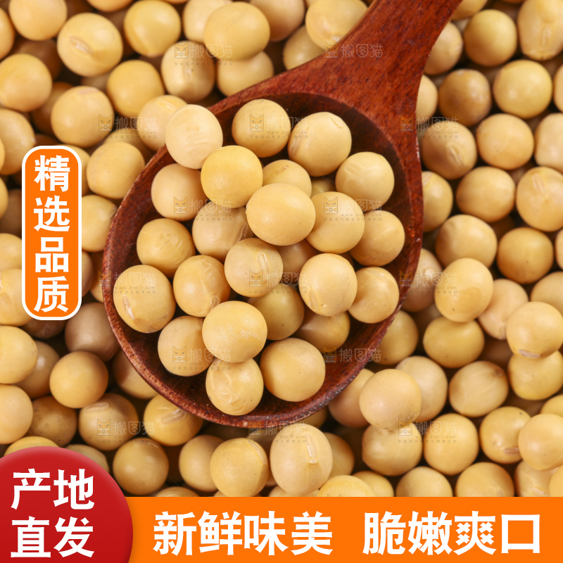 白底上放着东北黄豆