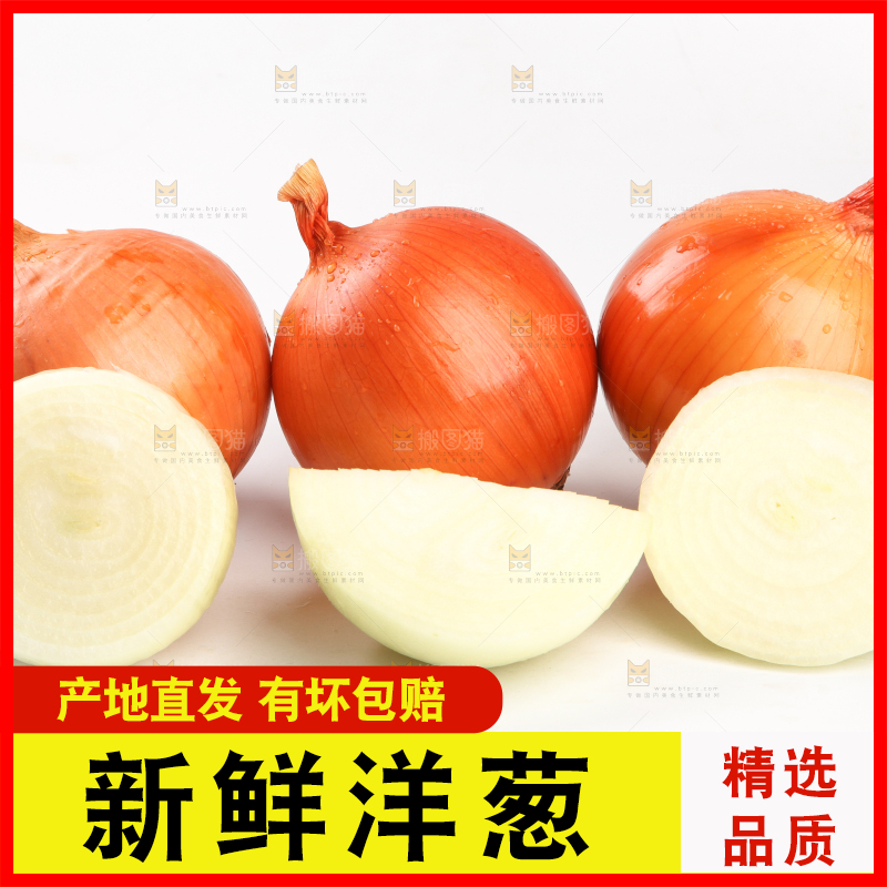 白底上放着黄皮洋葱