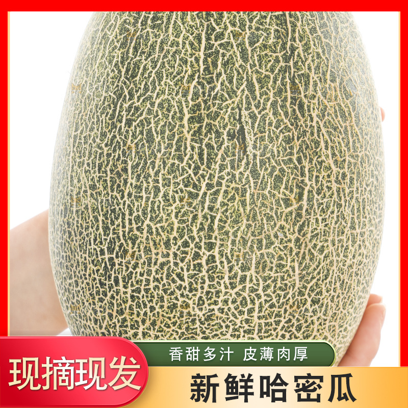 手里抱着哈蜜瓜