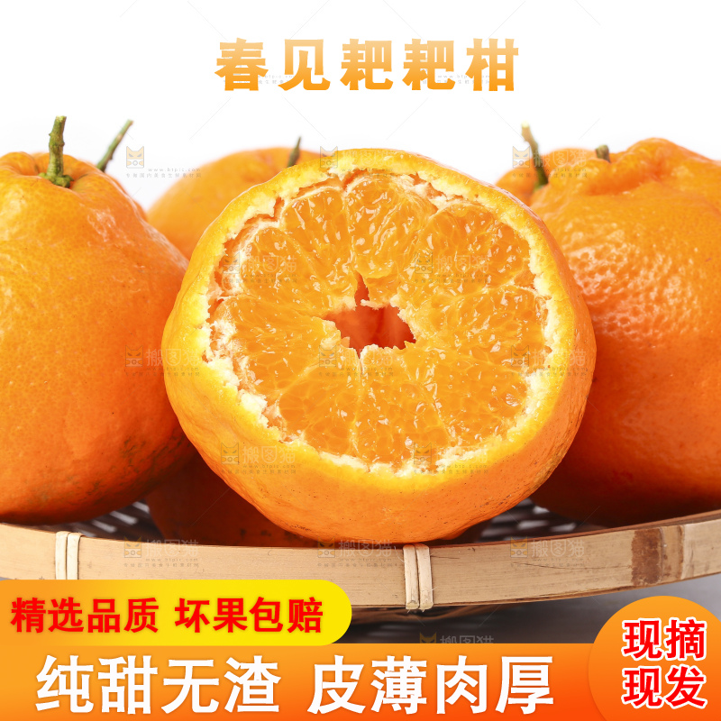 盘子里装着春见柑橘