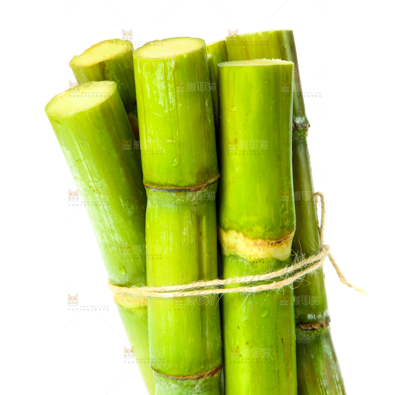 一捆青皮甘蔗放在白底