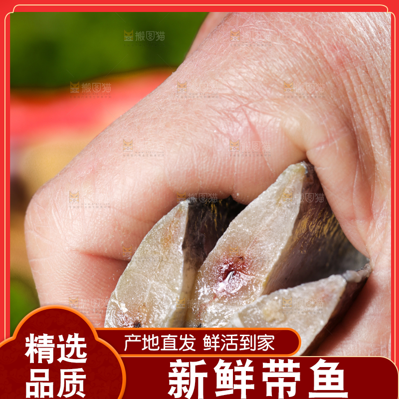 手拿带鱼
