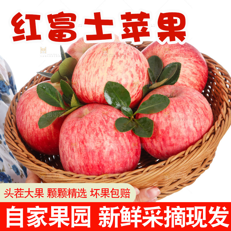 手里端着一篮红富士苹果