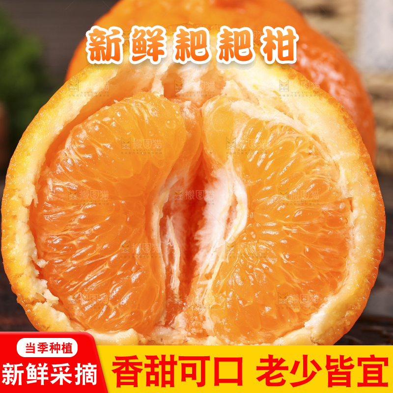深底上的新鲜耙耙柑