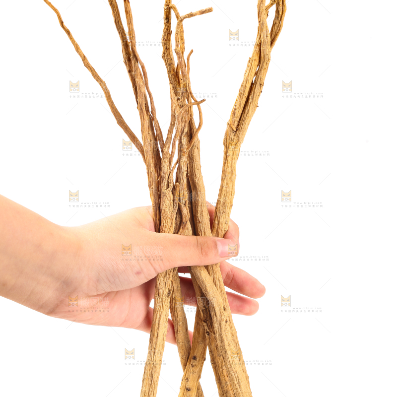 手里拿着党参