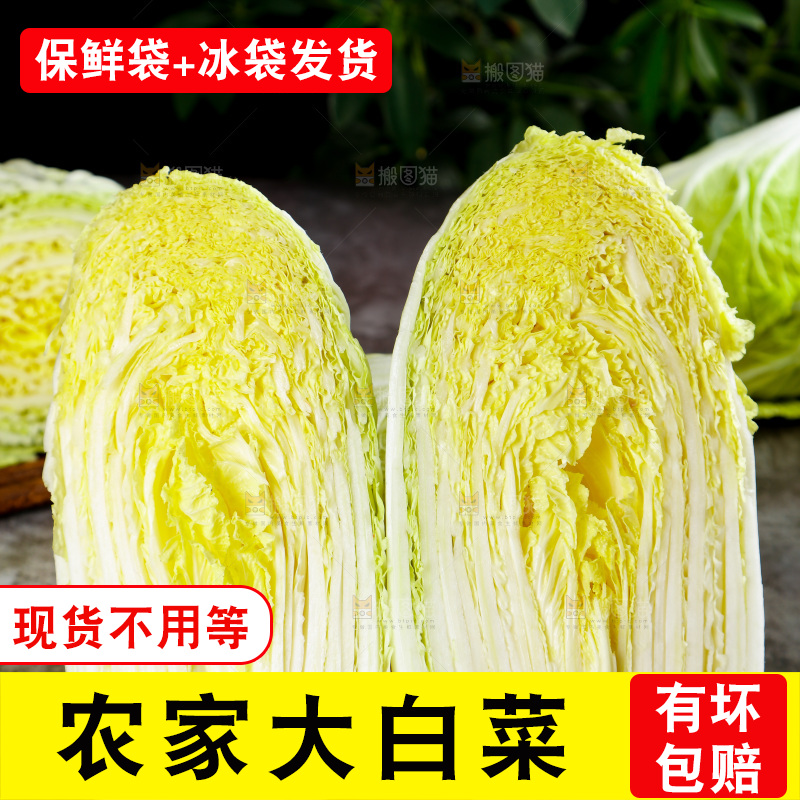 石板上放着一筐山东大白菜