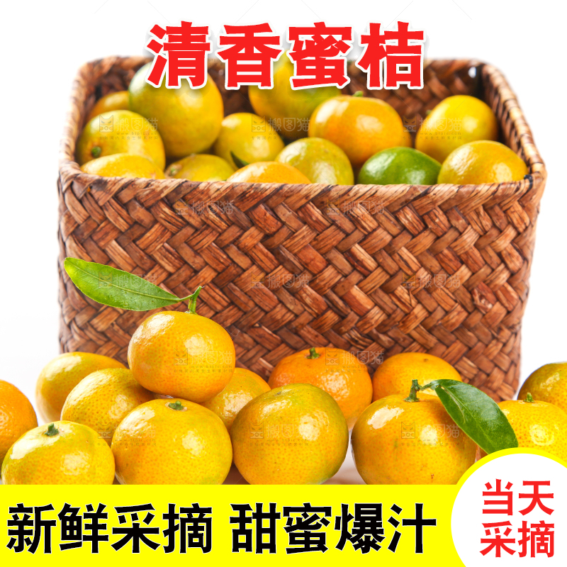 一筐清香蜜橘放在白底上