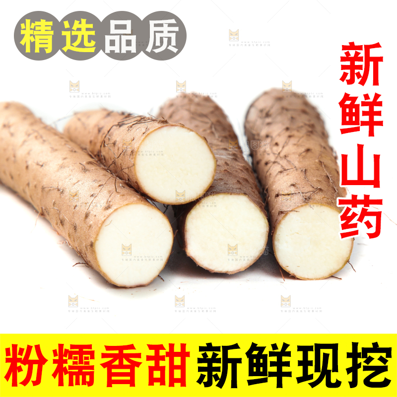 白底上摆放着山药
