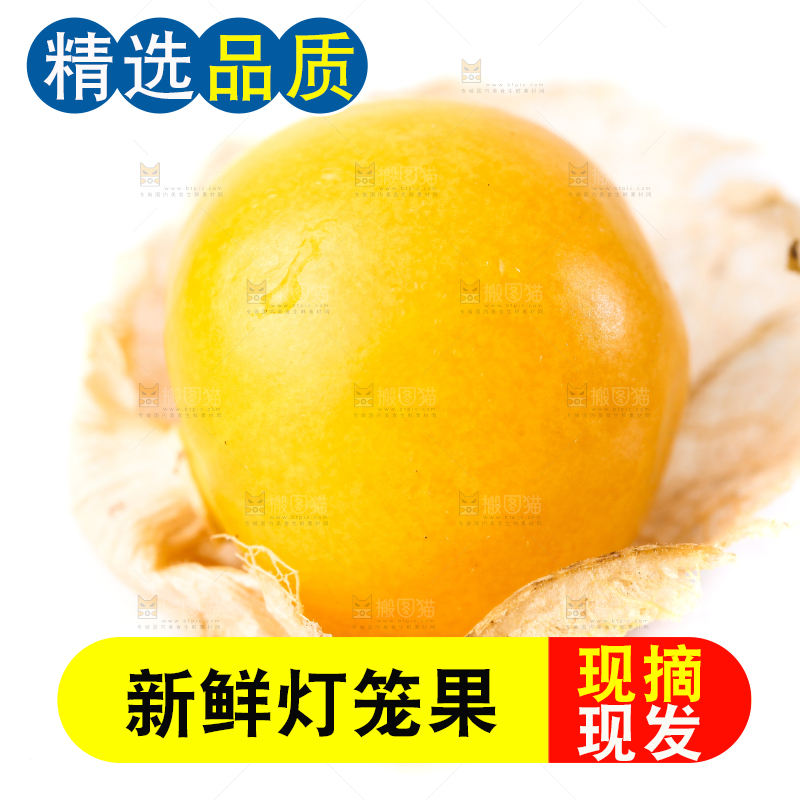 白底上摆放着灯笼果