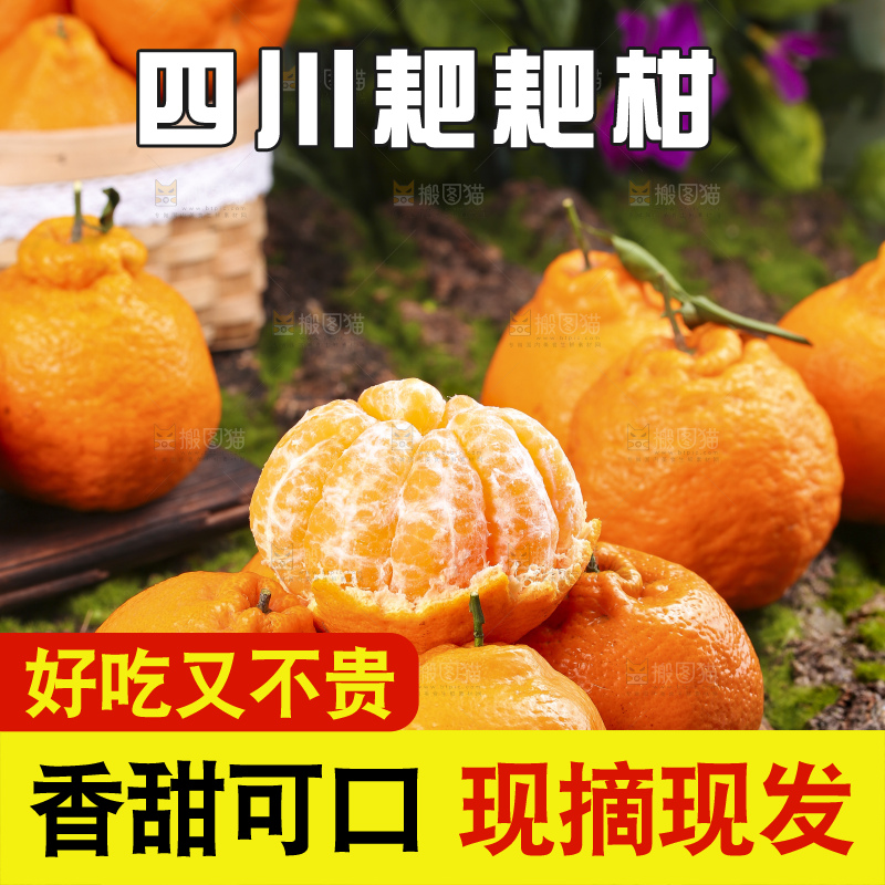 盘子里的四川春见耙耙柑