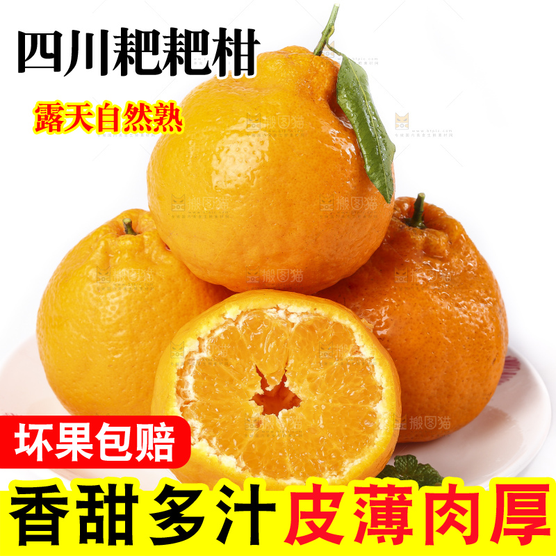 盘子里装着春见柑橘