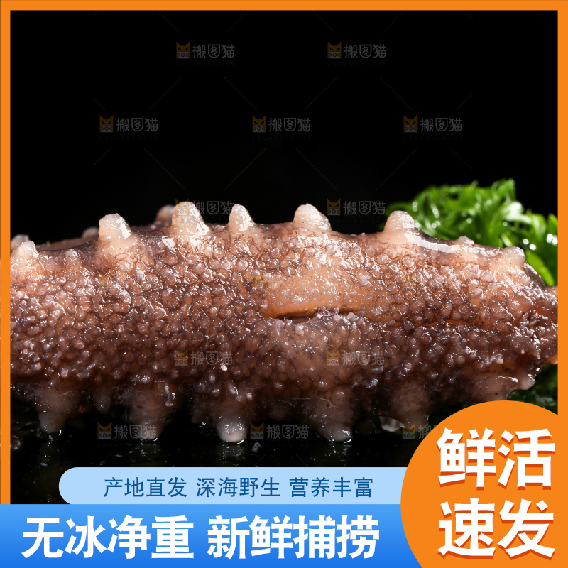 黑底上的海参