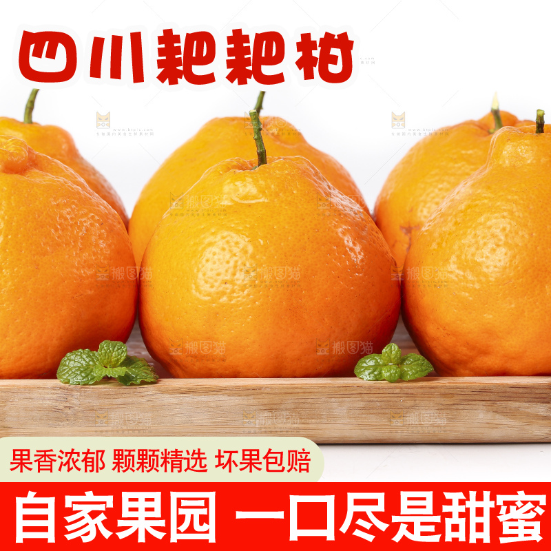 盘子里装着春见柑橘