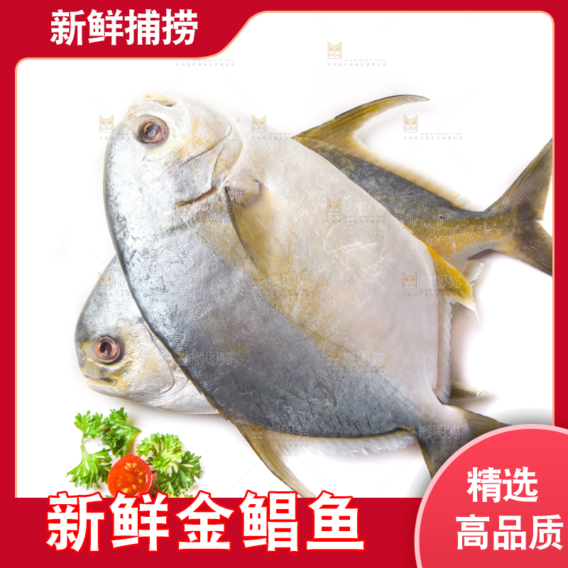 白底上放着野生金鲳鱼
