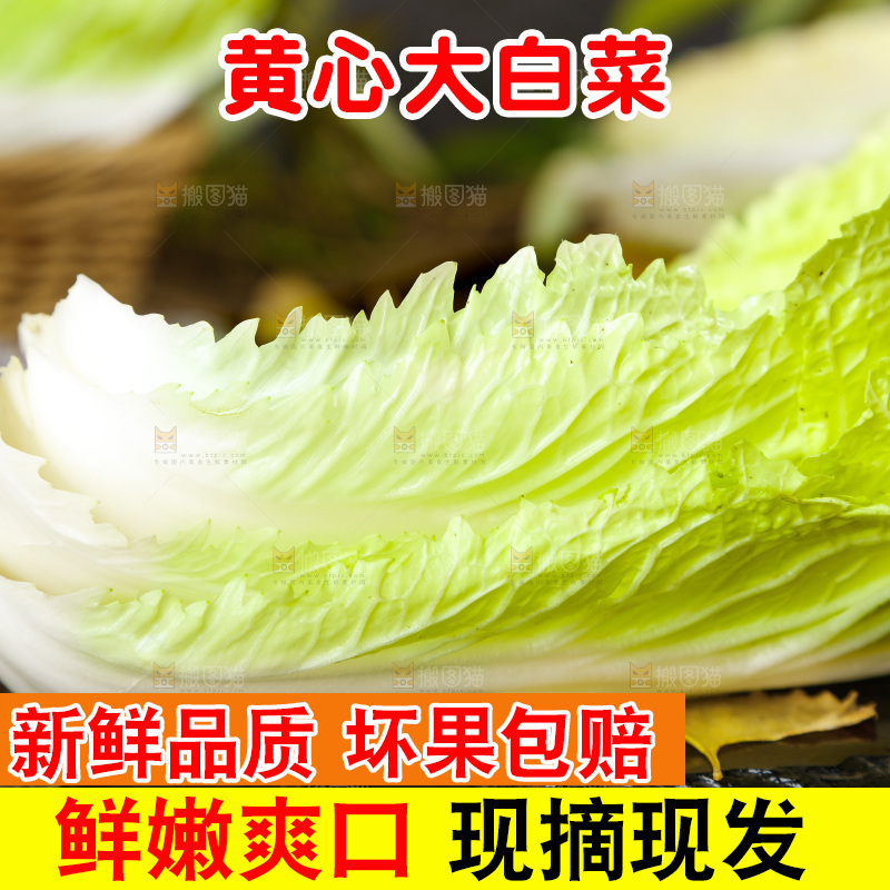 黑石板上的大白菜