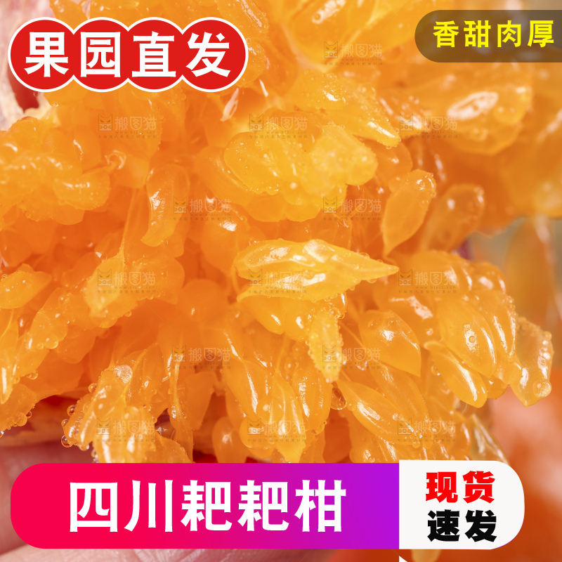 深底上的新鲜耙耙柑