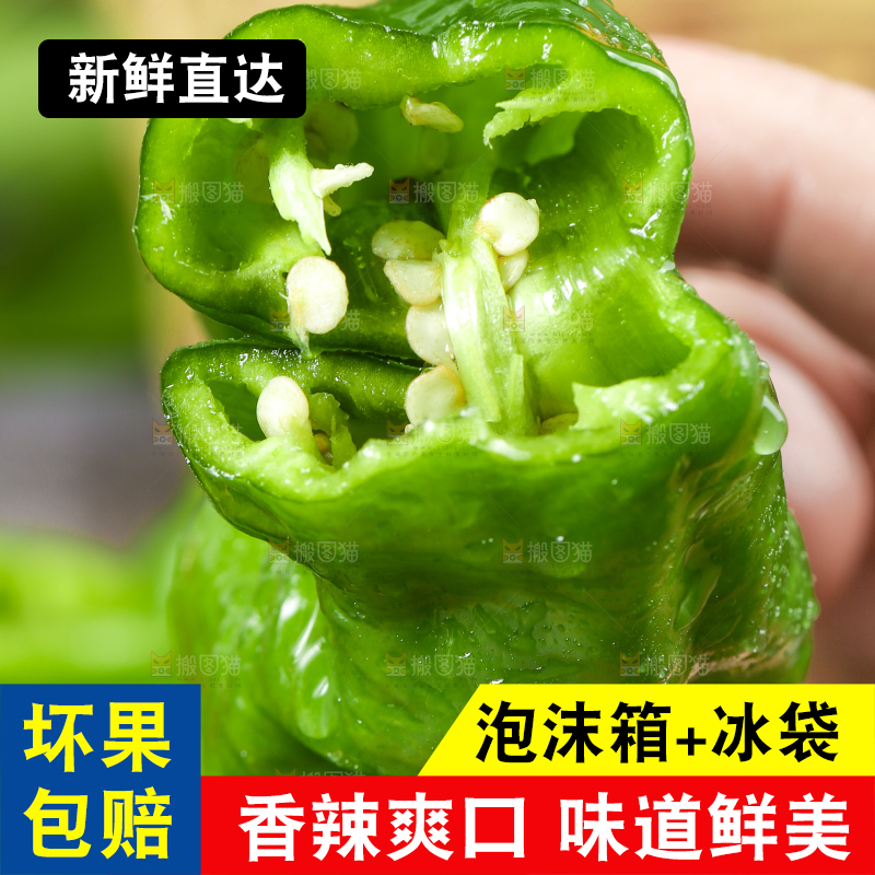 手拿青辣椒
