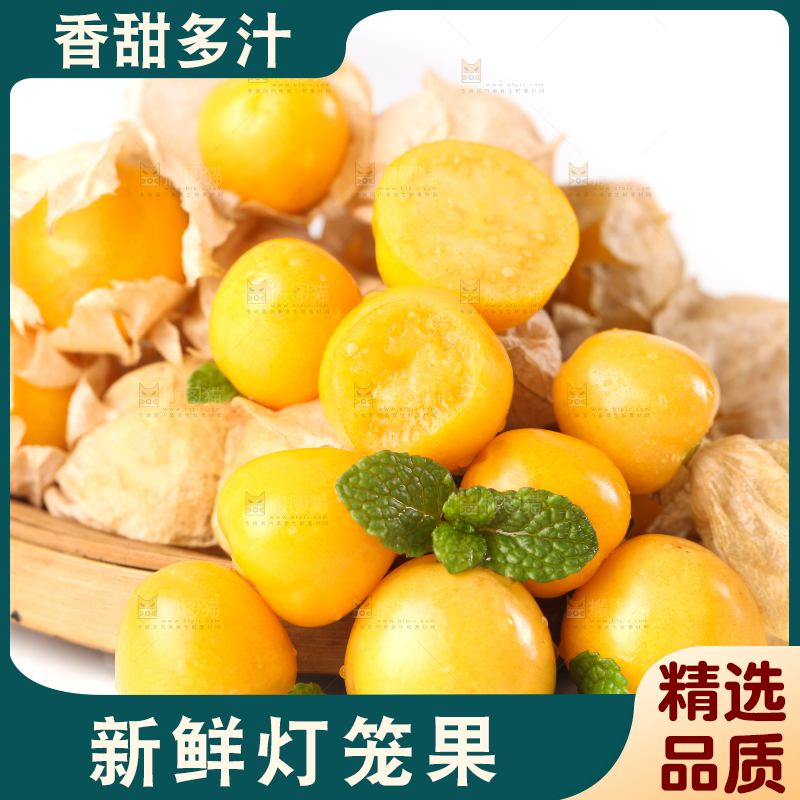 竹篮里放着菇娘果
