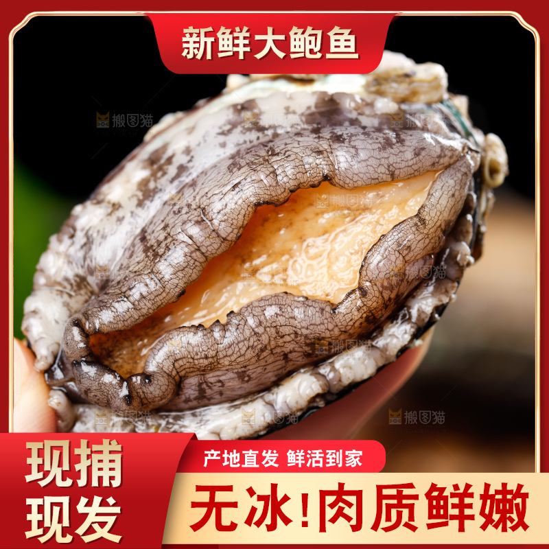 手拿鲍鱼