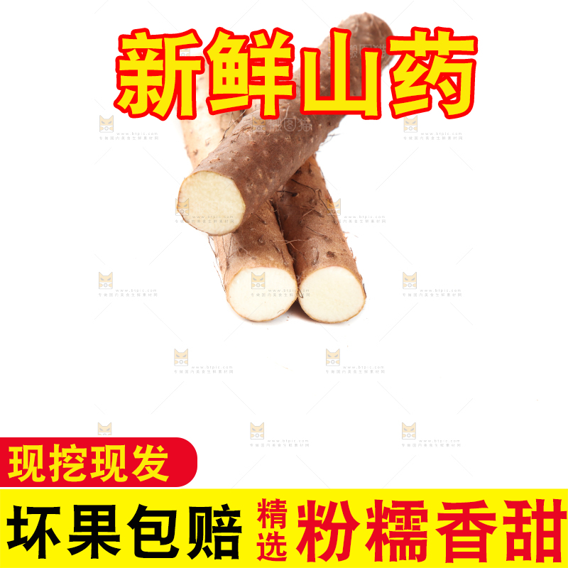 白底上摆放着山药