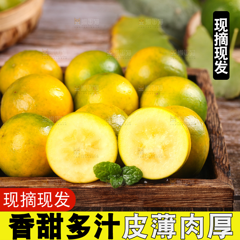 盘子里装着金橘