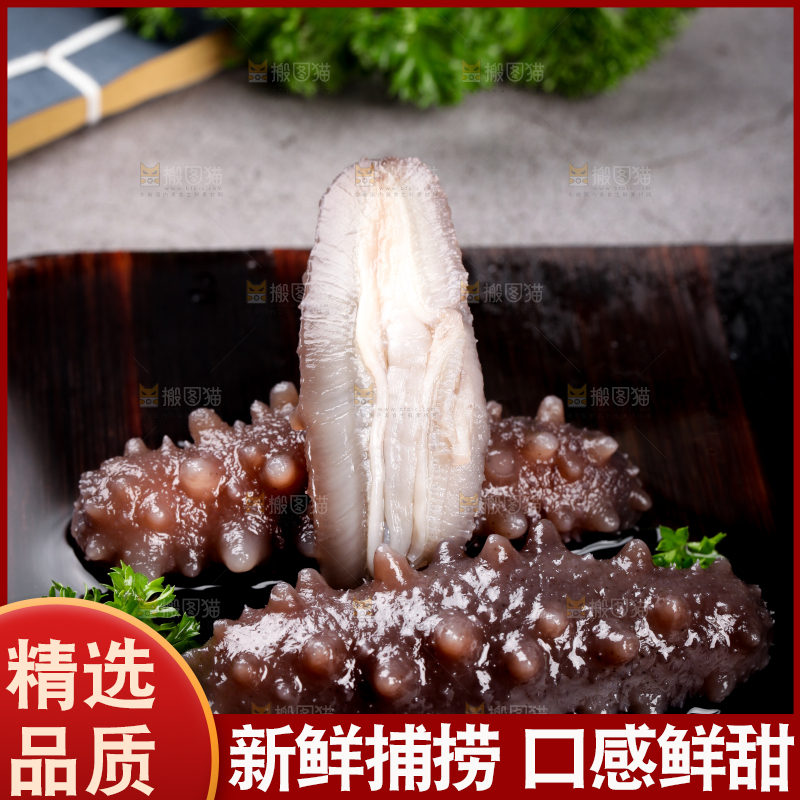 黑底上切开的海参