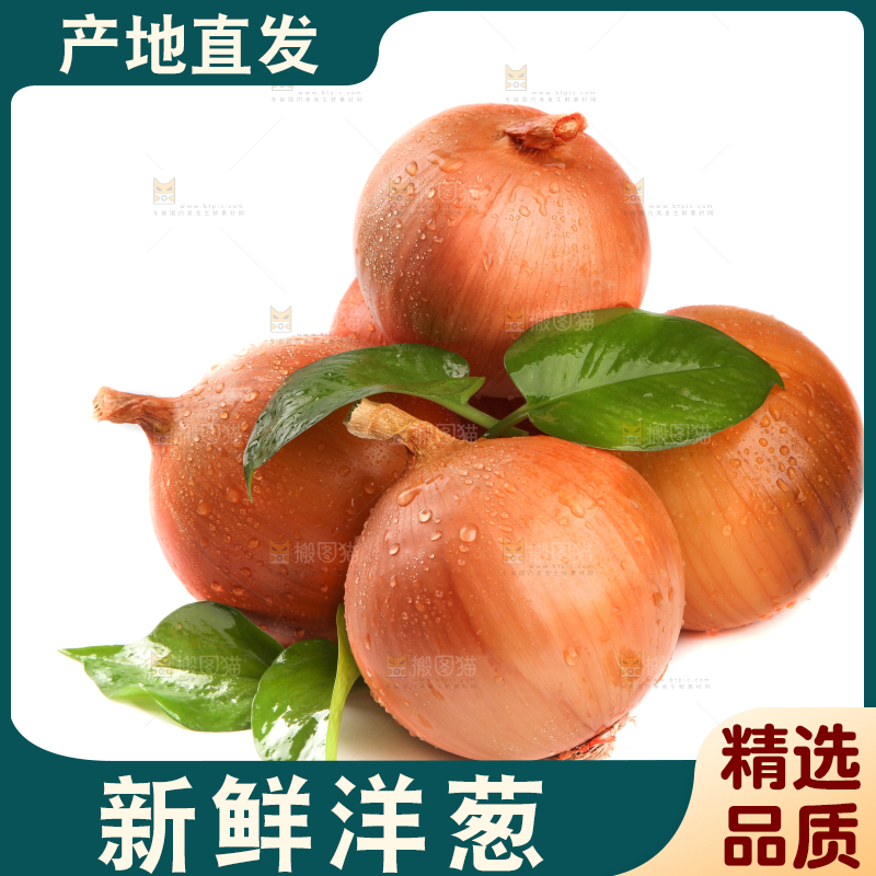 白底上放着黄皮洋葱
