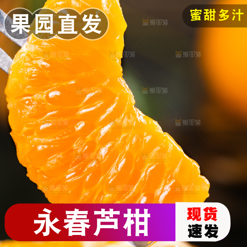 叉子上叉着芦柑果肉
