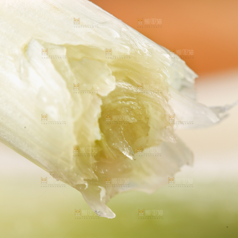 浅底上的铁杆大葱