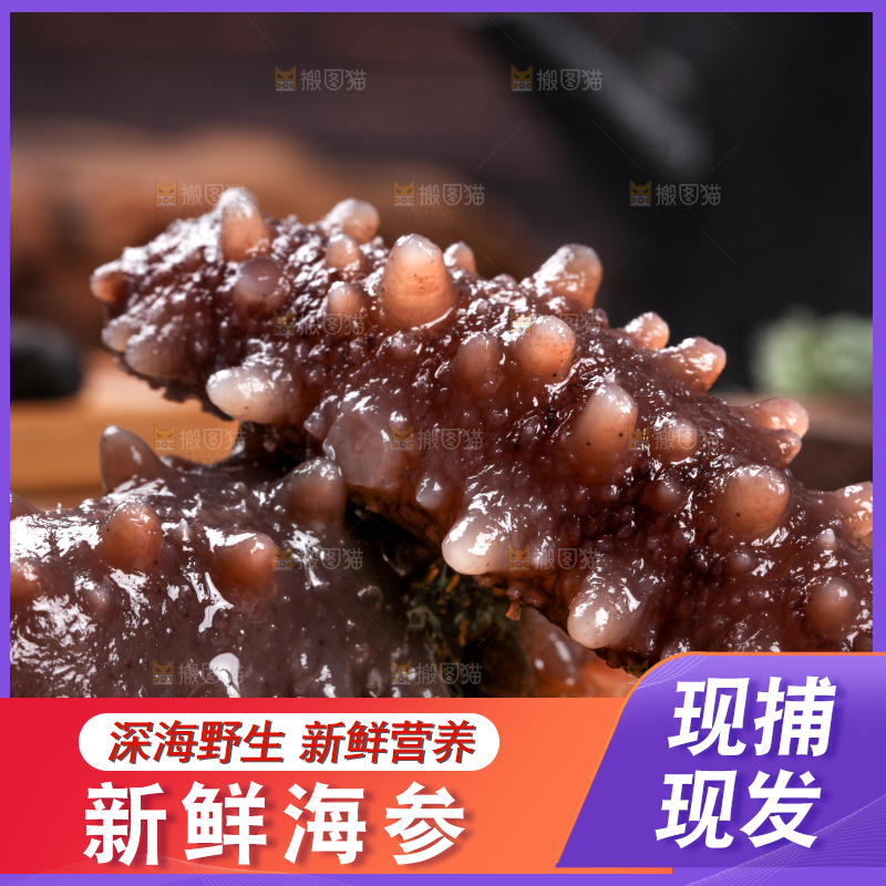 木底上的淡干海参