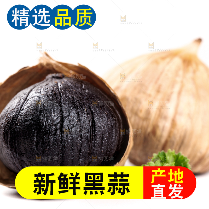 白底上的黑蒜头