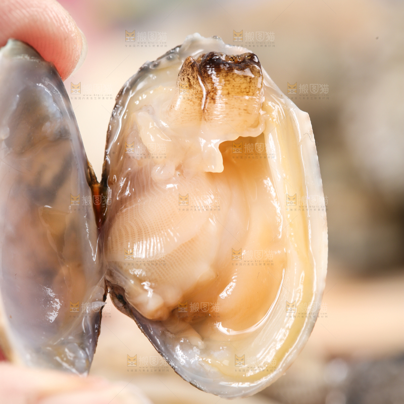 手拿张开的花甲