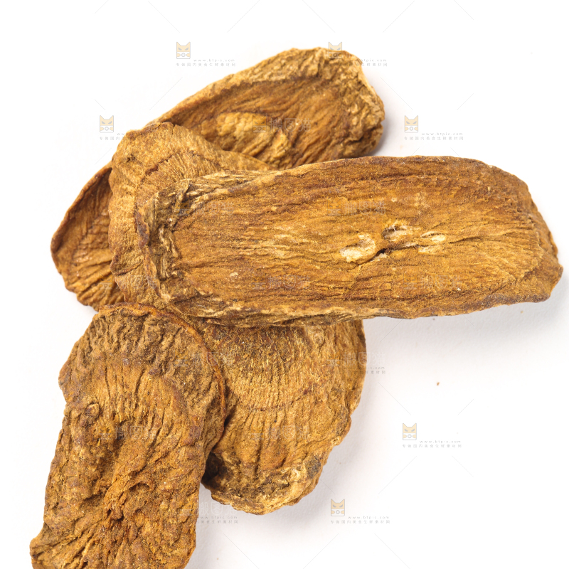 白底上摆放着牛蒡