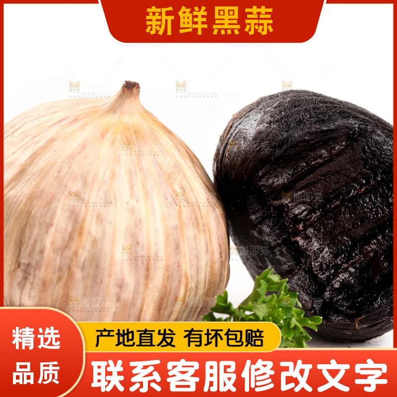 白底上的黑蒜头