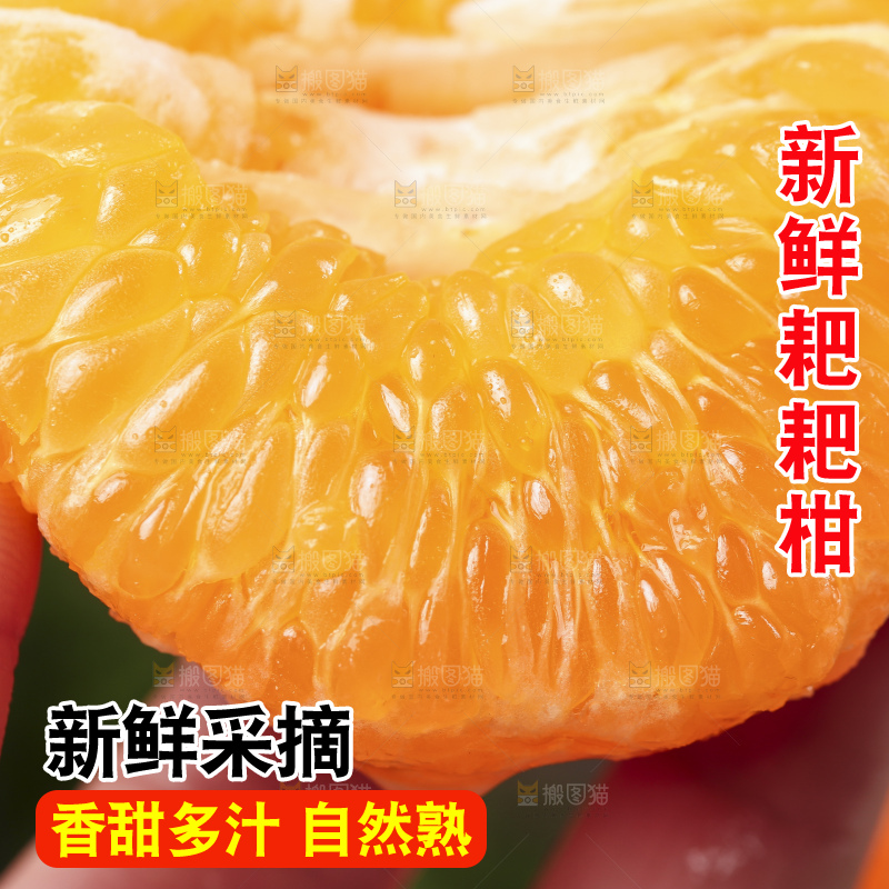 深底上的新鲜耙耙柑