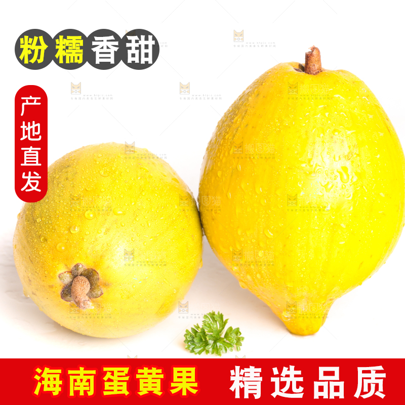 白底上的新鲜鸡蛋果