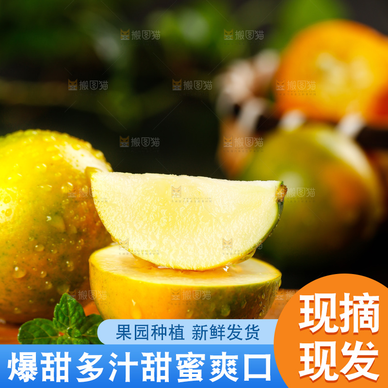 木底上放着金橘