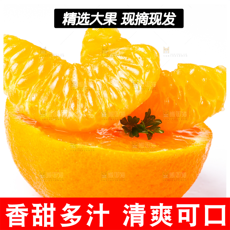 白底上放着芦柑
