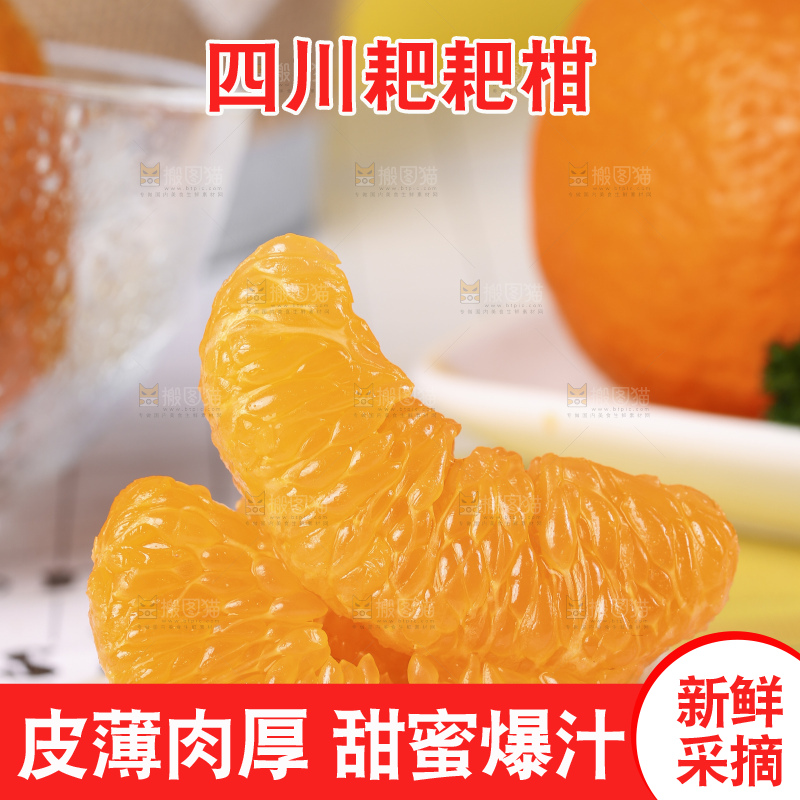 石板上的四川耙耙柑