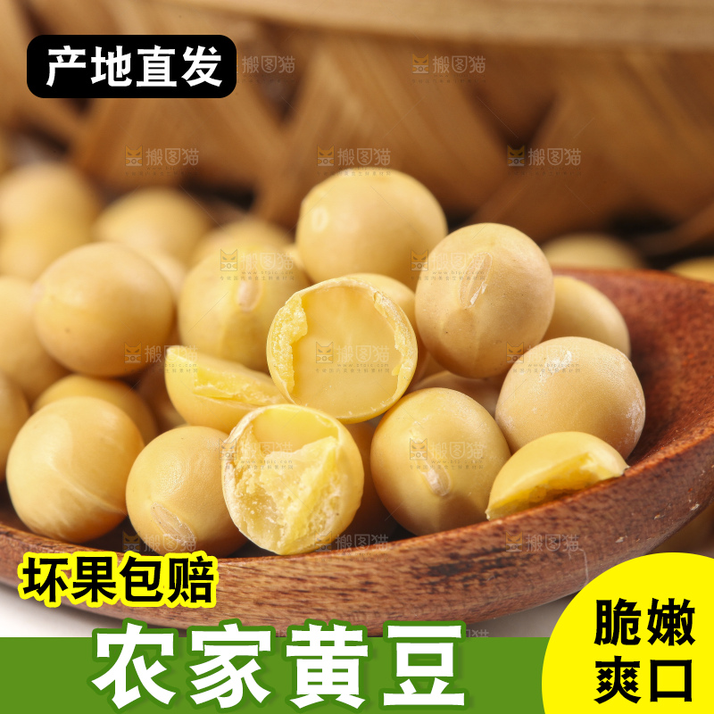 勺子里的黄大豆