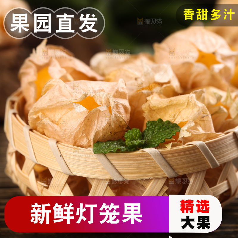 竹篮里放着菇娘果