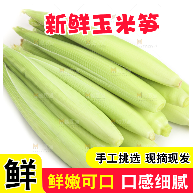 白底上的珍珠笋
