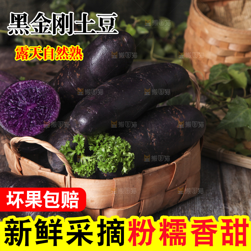 篮子里装着黑心紫皮土豆