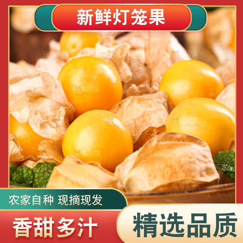 竹篮里放着菇娘果