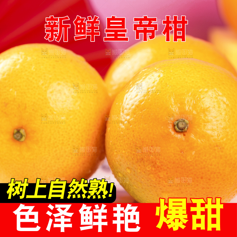 石盘上的广西皇帝柑