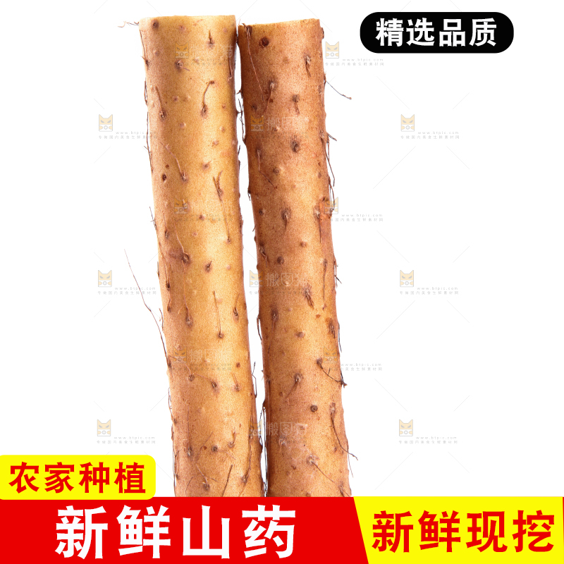 白底上放着淮山药