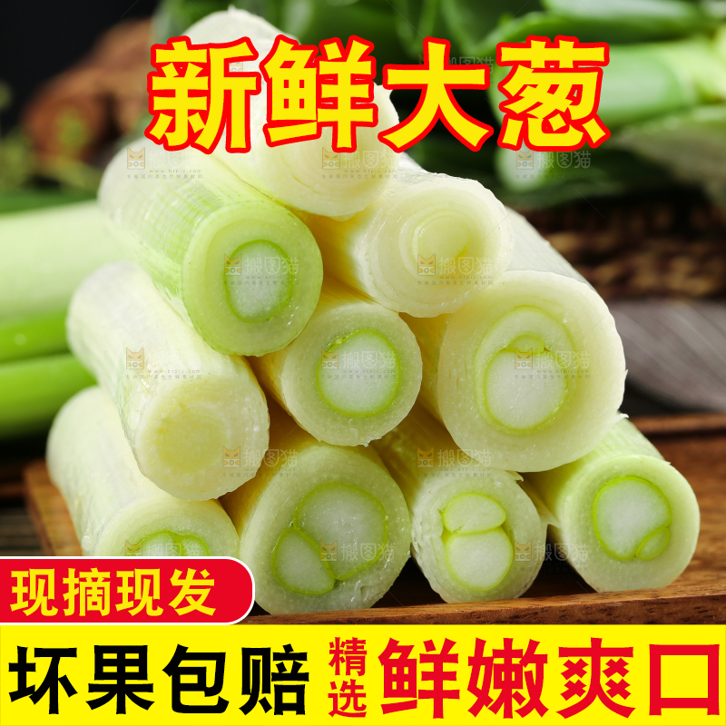 木底上的山东大葱