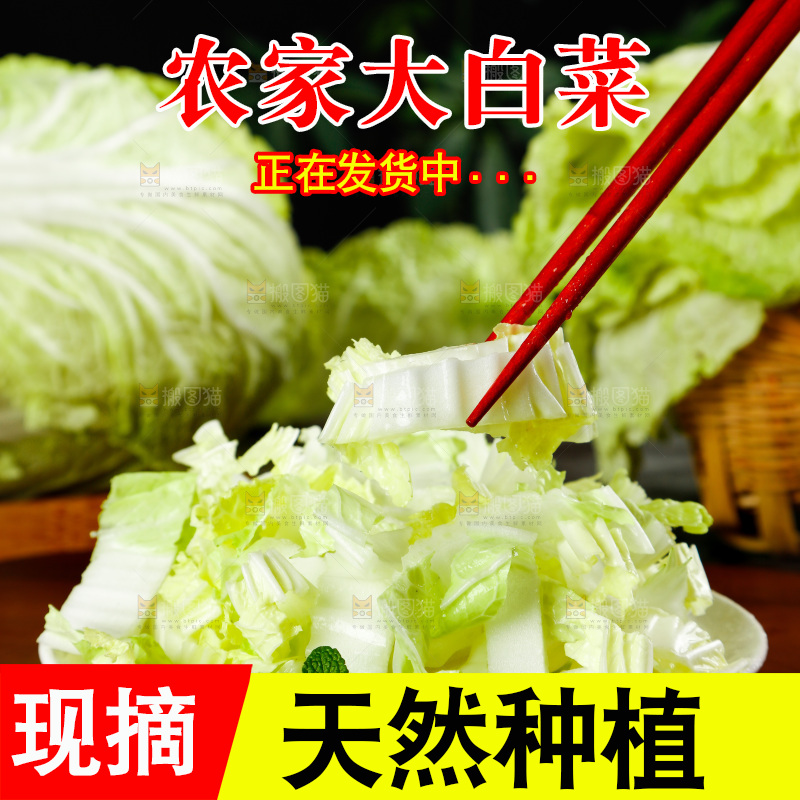 筷子夹着大白菜